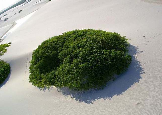 Lençóis Maranhenses Nemzeti Park